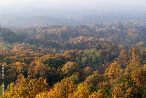 Countryside hilly landscape with lush forest in autumn colours