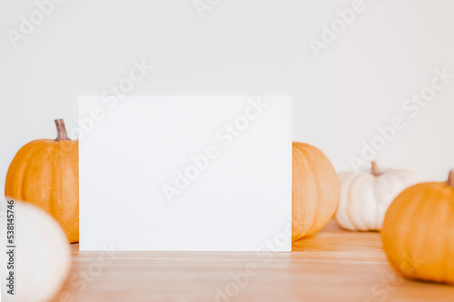 Blank card and pumpkins