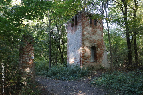 Ruiny w rezerwacie przyrody Morysin w Warszawie