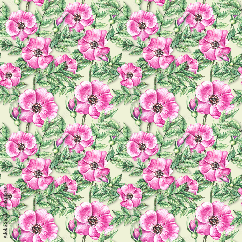 Fototapeta premium Watercolor Rosehip pattern
