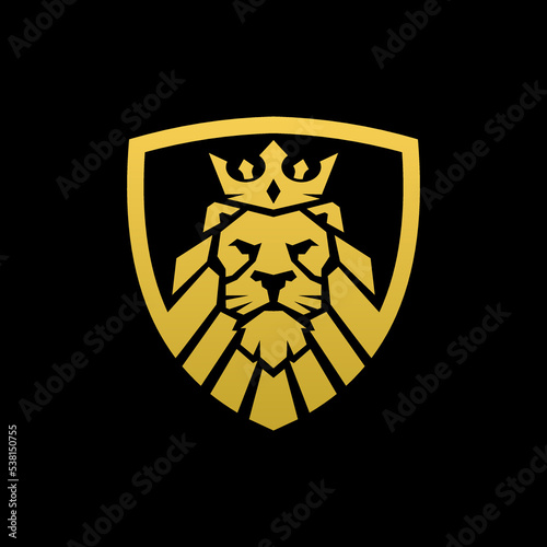 Fototapeta Naklejka Na Ścianę i Meble -  Lion Shield logo design template