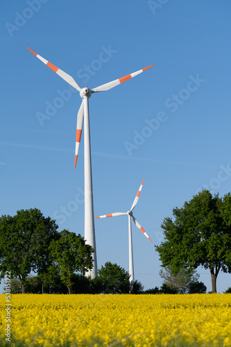 Windrad auf Rapsfeld photo
