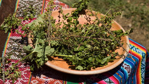 Quadro em tela plate full of andean mint in cusco peru