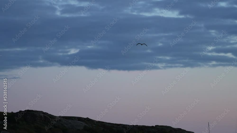 Seagulls fly over the sea during sunset. Peace and silence. Large seabirds fly in search of food during twilight. 4k slow motion video. Seagulls fly over the sea during sunset. Peace and silence. Large seabirds fly in search of food during twilight. 4k slow motion video.