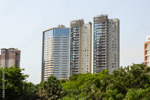 Alguns prédios residenciais com várias bandeiras brasileiras nas janelas vistos entre árvores de um parque. photo