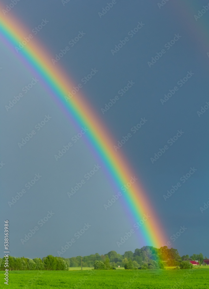 rainbow in the sky.Picturesque view of beautiful rainbow and blue sky on sunny day. vertical frame rainbow in the sky.Picturesque view of beautiful rainbow and blue sky on sunny day. vertical frame