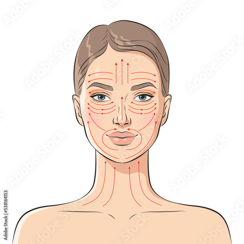 Face massage lines. Facial massage instructions, vector illustration