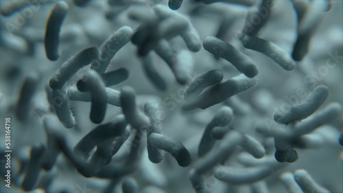 microscopy of bacteria. Macro shot
