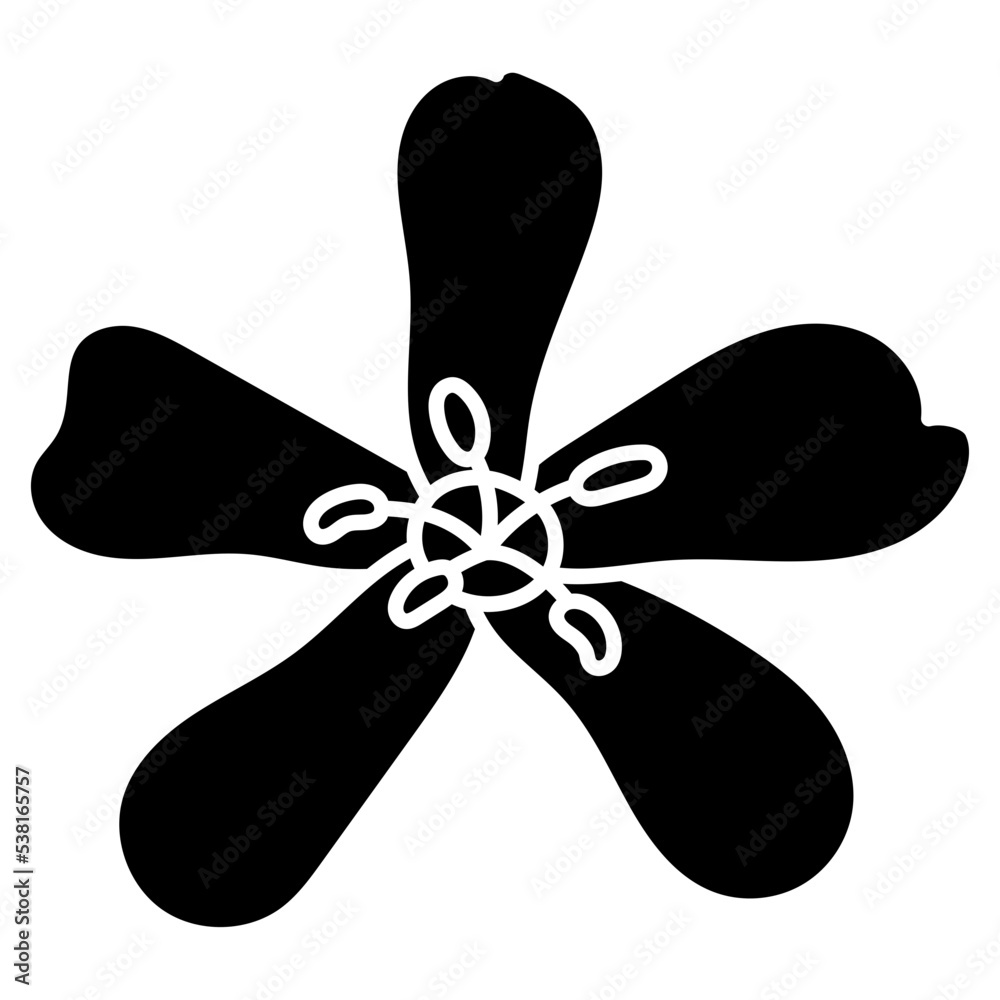 SAPONARIA glyph icon SAPONARIA glyph icon