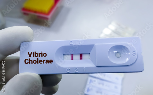 Rapid test device or cassette for Vibrio cholerae test, show positive result. photo