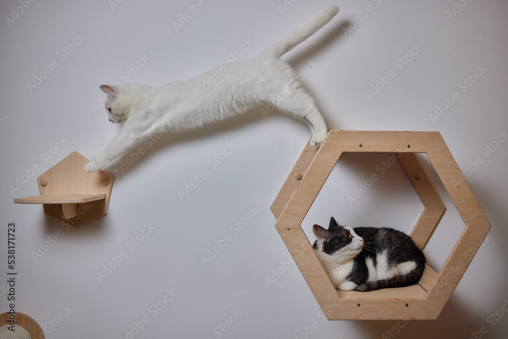 Cat scratching post pet stock on sale