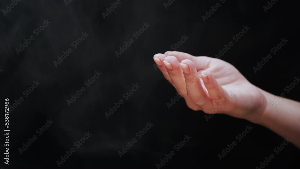 Little barn swallow flies out of womens hands. Hirundo rustica chick spreads wings, teaching to fly on studio background. Close-up view. Ornithology, nature, fauna concept. Little barn swallow flies out of womens hands. Hirundo rustica chick spreads wings, teaching to fly on studio background. Close-up view. Ornithology, nature, fauna concept.
