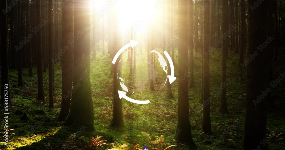 Environment recycle Earth globe rotation in beautiful sunny forest landscape, concept animation background.	
