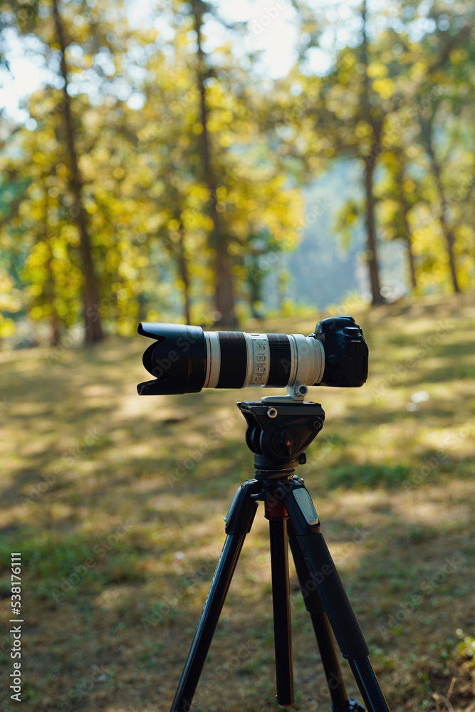 wild life photography wild life photography