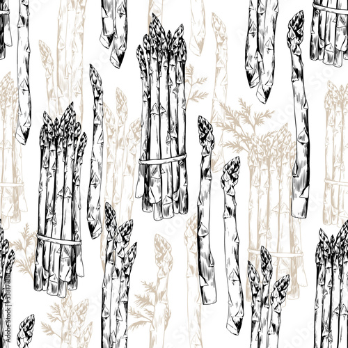 Seamless pattern with asparagus vegetables. Hand drawn illustration on white background.