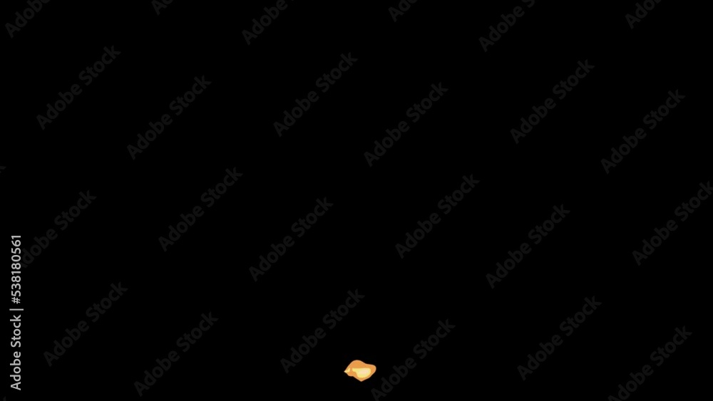 Explosion 2D Animation with Alpha Channel version 01 Explosion 2D Animation with Alpha Channel version 01