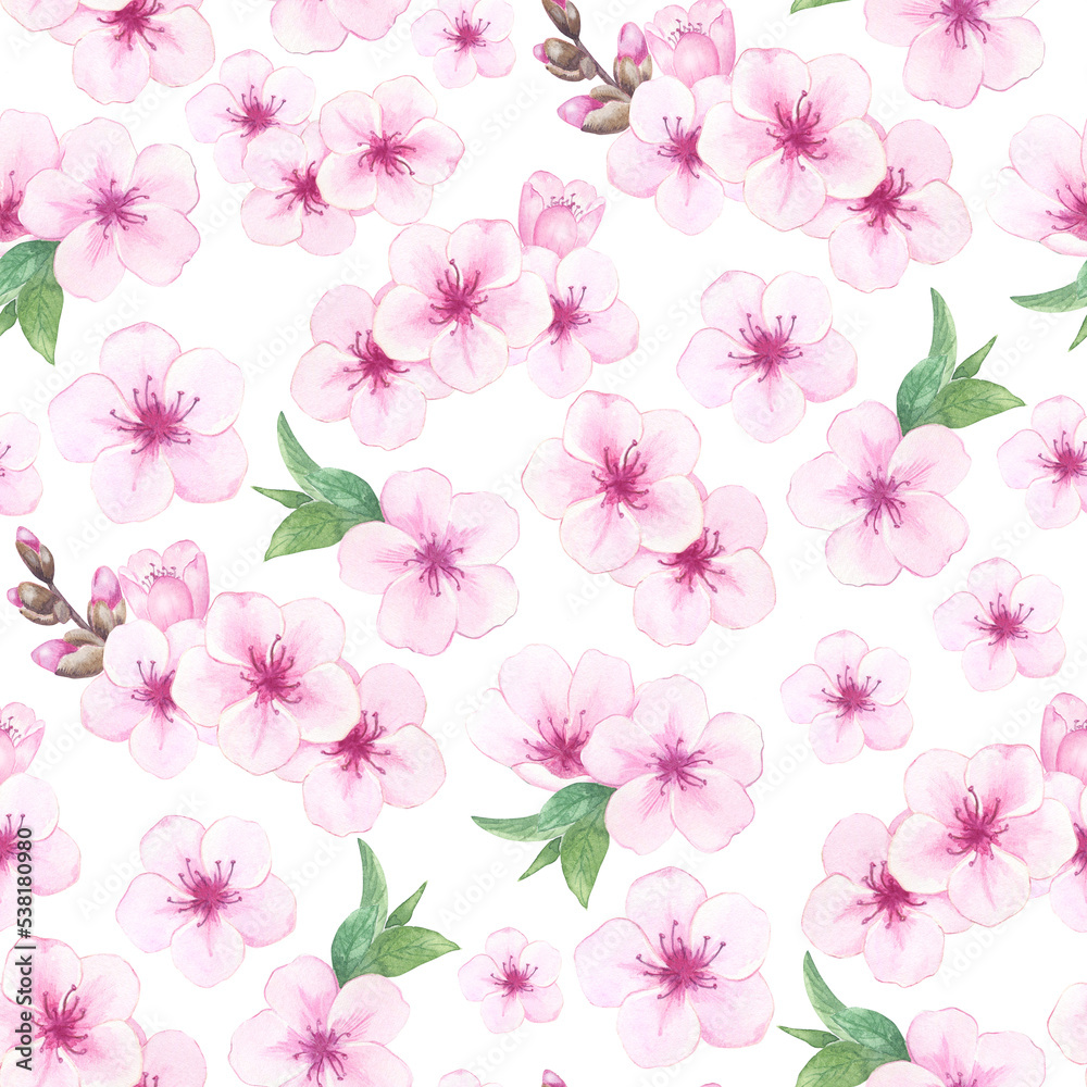 Fototapeta premium Watercolor almond or cherry blossoms in seamless pattern. Illustration of blooming pink sakura. Background with hand drawn flowers for packaging, web, card and label.