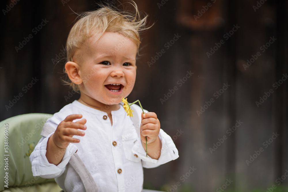 one year old happy blond german baby boy in white shirt playing outside infront of a rustic wooden hut gate with a yellow flower to congratulate for birthday one year old happy blond german baby boy in white shirt playing outside infront of a rustic wooden hut gate with a yellow flower to congratulate for birthday