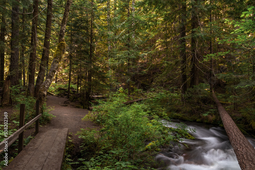 Little ZigZag Falls hiking trail and flowing creek water in beautiful lush Mt. Hood National Forest, Oregon photo