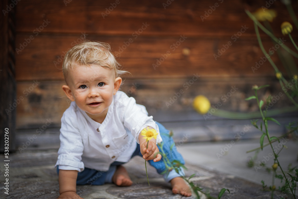 Fototapeta premium one year old happy blond baby boy in white shirt sitting outside on the ground infront of a rustic wooden hut and holding a yellow marguerite flower to send love and happiness