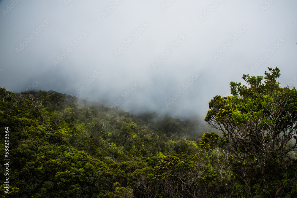 cloudy volcano forest