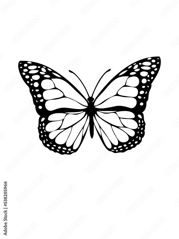 Obraz premium butterfly illustration