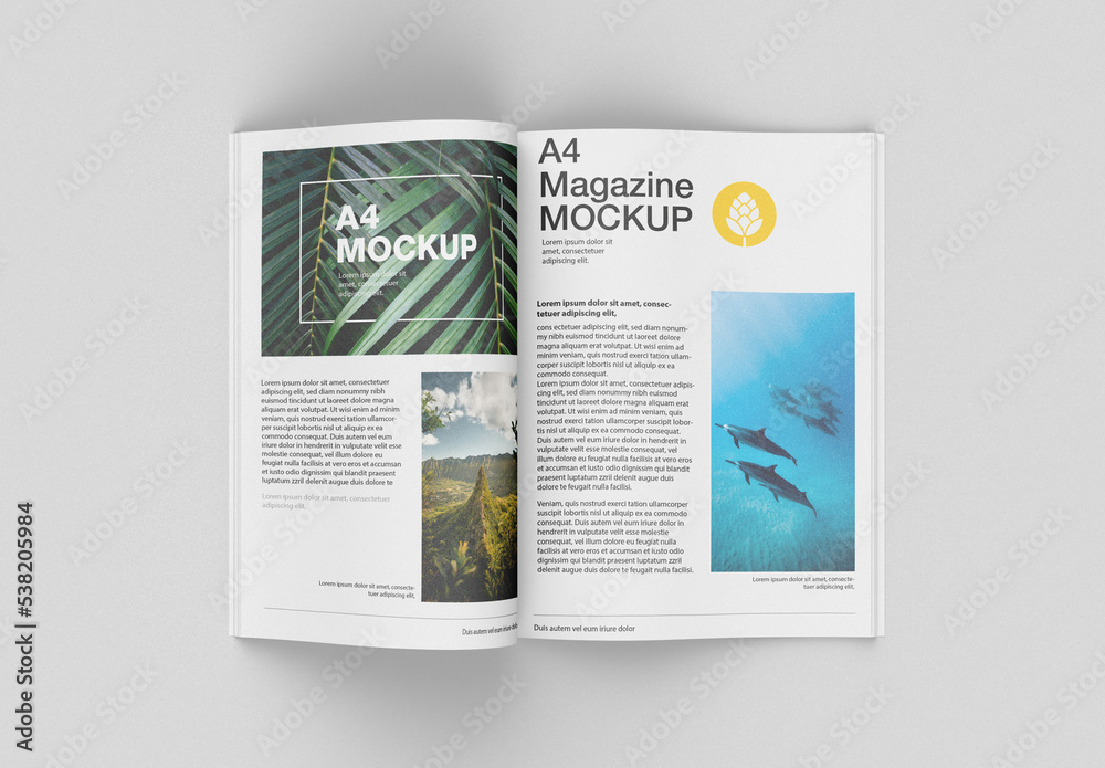Matte Magazine Mockup Stock Template Adobe Stock