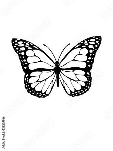 butterfly illustration © jasmine