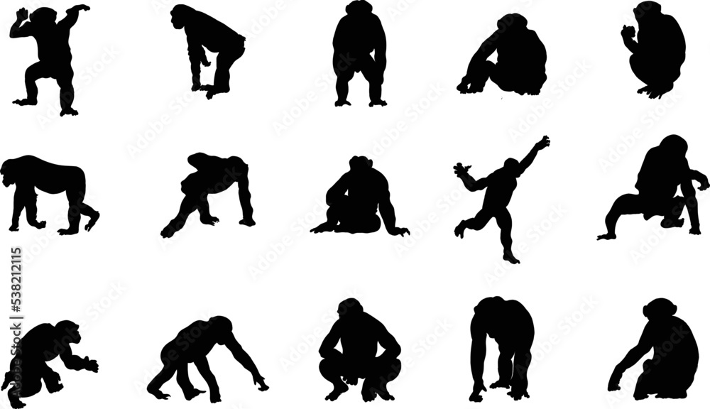 Αυτοκόλλητο A vector silhouette collection of chimpanzee's for artwork compositions