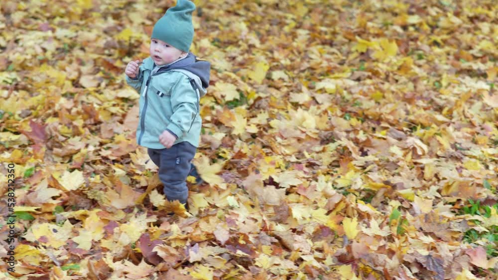 A little boy walks in an autumn park with yellow fallen leaves