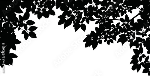 A vector background of tree leaves for artwork compositions photo