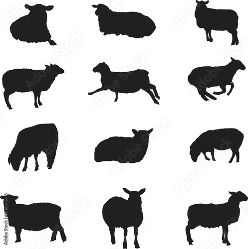 A vector collection of lamb silhouettes for artwork compositions