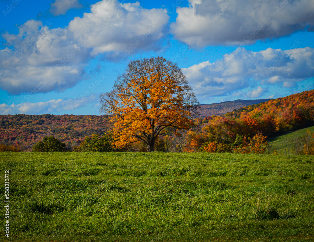 Autumn Mountain Views From North Bennington Vermont 10.14.22