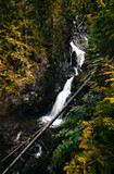 Vertical photo of wooden tree trunk crossing the waterfall in autumn forest (mountains). Waterfall in season with smooth streaming  - colorful plants on foreground.