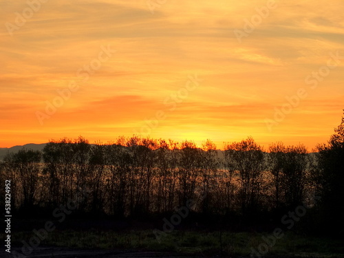 sunset in the field