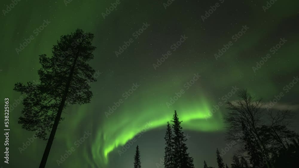 Strong bright Aurora Borealis. Northern lights over a coniferous forest and a small town.