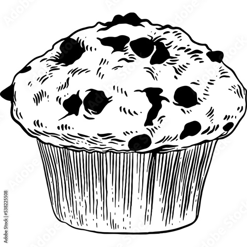 Hand drawn Chocolate Chip Muffin Sketch Illustration