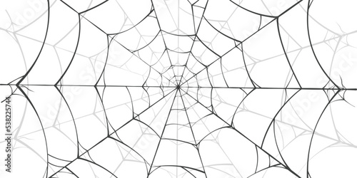 spider webs lineout Background white and black can be used according to your needs
