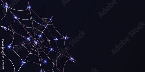 spider webs Background elegant purple can be used according to your needs