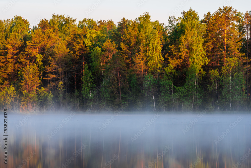 Beautiful landscape with forest reflecting in lake with fog.
