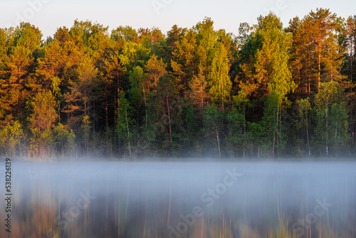 Beautiful landscape with forest reflecting in lake with fog.
