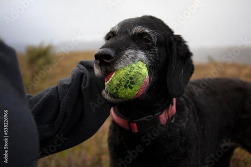 My Ball