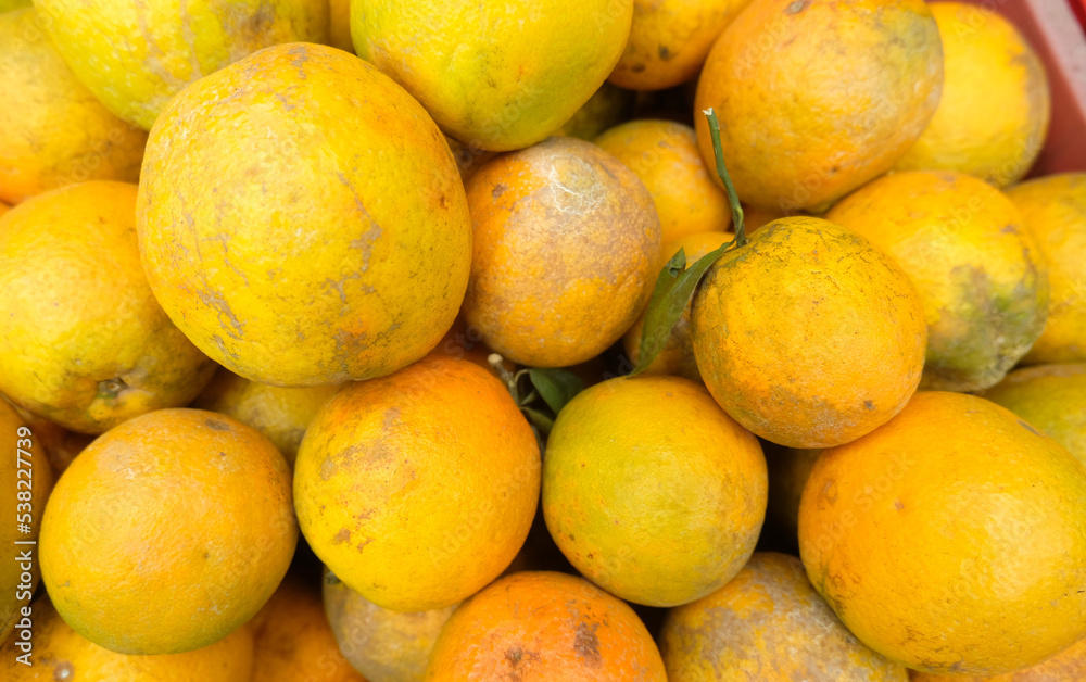 Orange fruit - large amounts of orange fruit, fresh orange fruit, orange fruit in a basket