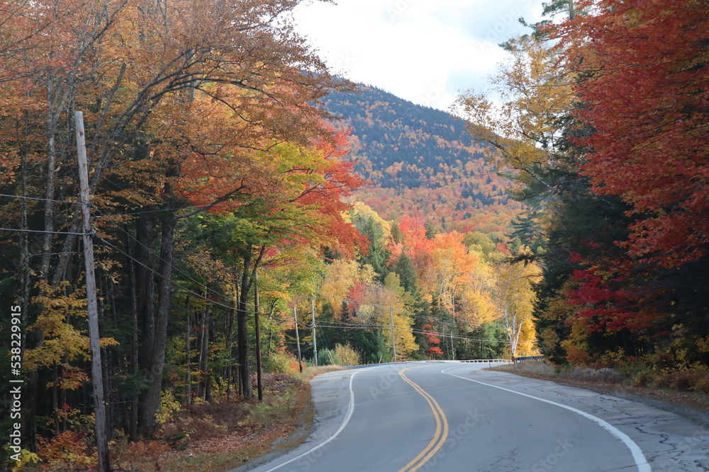 A road in New Hampshire surrounded by trees with colorful fall foliage