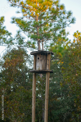 home made bird nesting box made out a wooden industrial wire spool up high on wooden 16 foot 4 x 4 posts