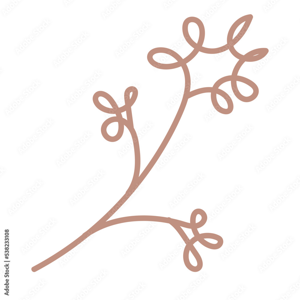 flower botanical hand drawn vector element