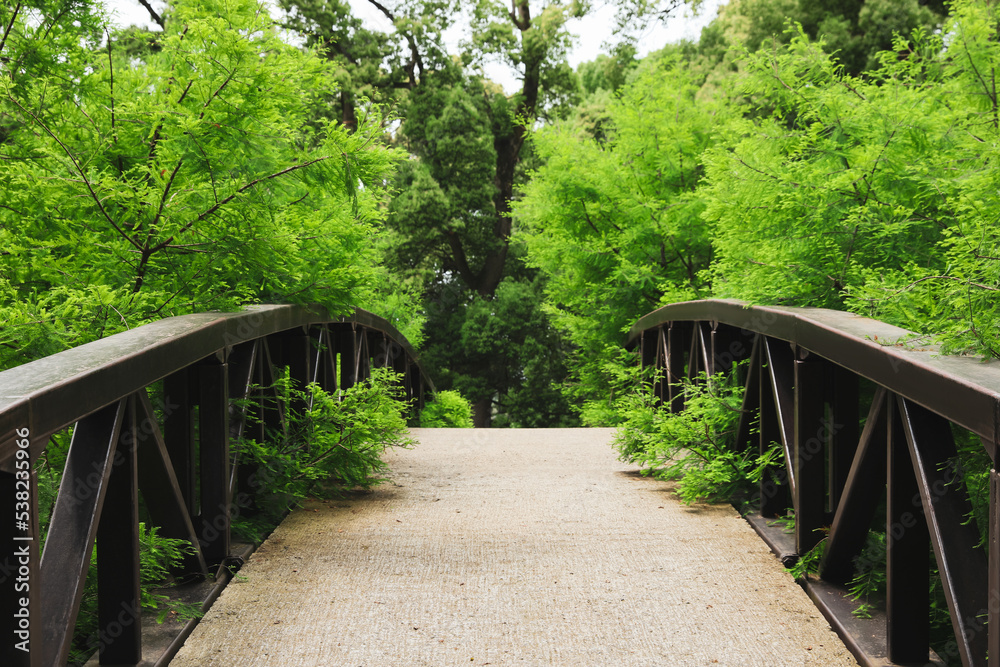 Picturesque view of bridge in beautiful green park