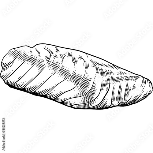Hand drawn Fish Fillet Sketch Illustration