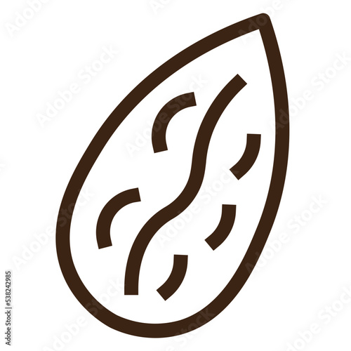 almond eat food vegetable veggie outline icon