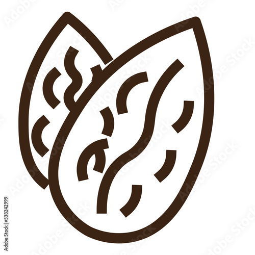 almonds eat food vegetable veggie outline icon